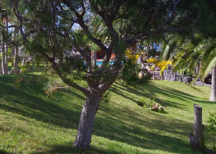 Apartament Playa De Roques *